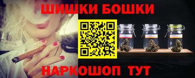 гашик Будённовск