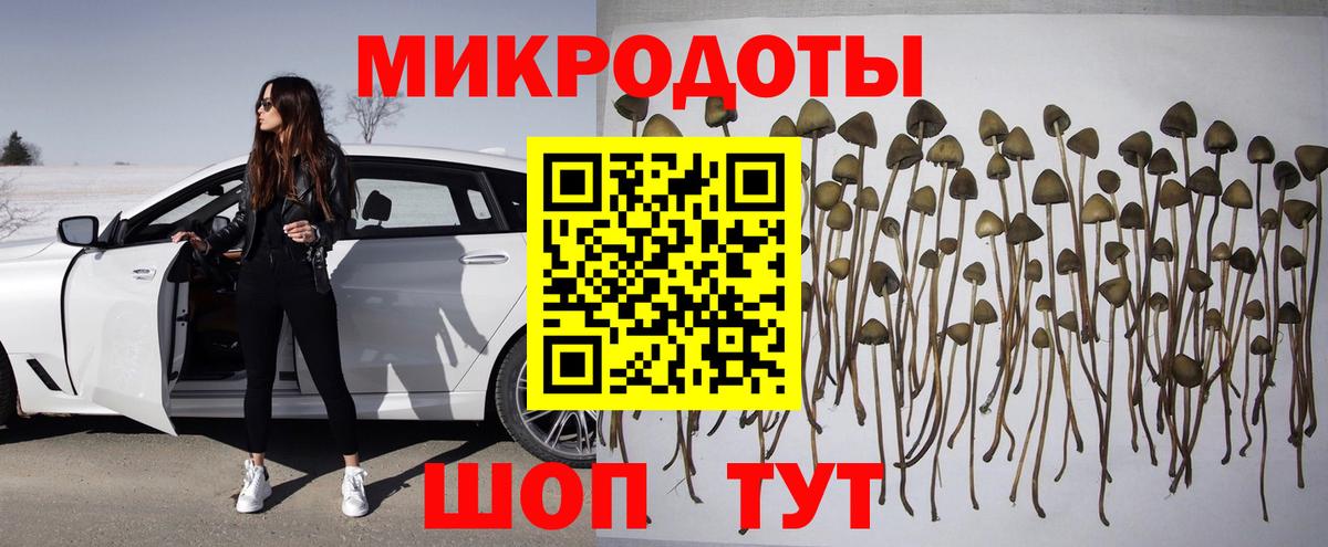 Псилоцибиновые грибы мухоморы Мирный
