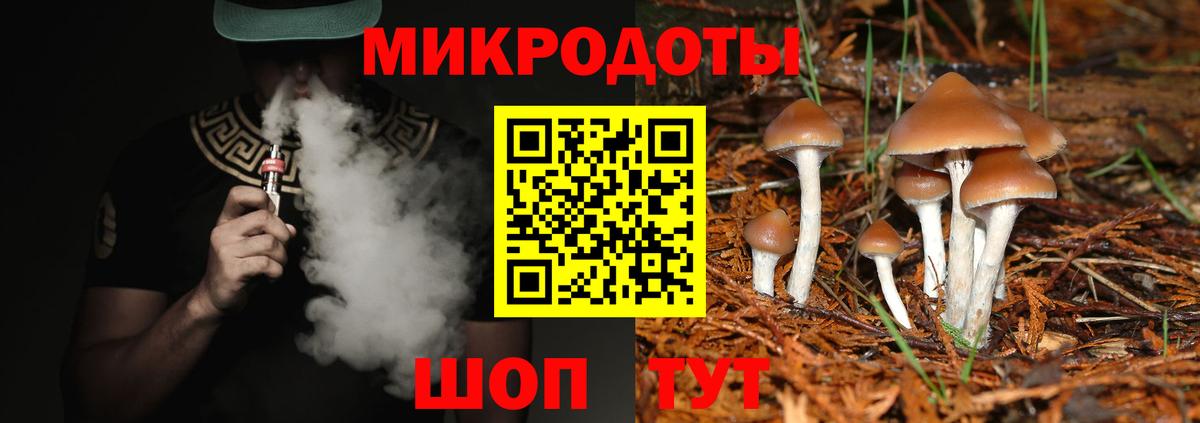 Псилоцибиновые грибы MAGIC MUSHROOMS  Вход с VPN  Мирный 